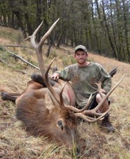 Elk hunting in Montana with Montana outfitters. Redbone Outfitting offers experienced hunting guides for a once in a life time Elk hunt.